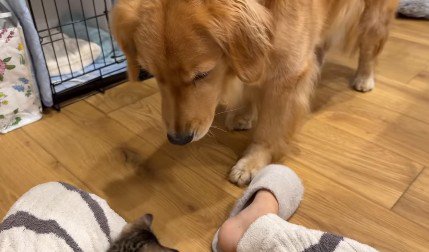 気になって仕方がない