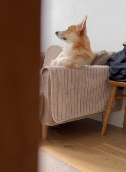 「いい天気だな…」