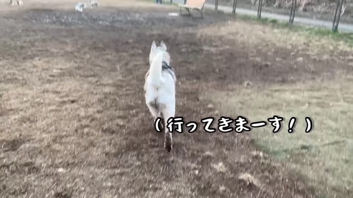 ひと休みしても行く先は泥