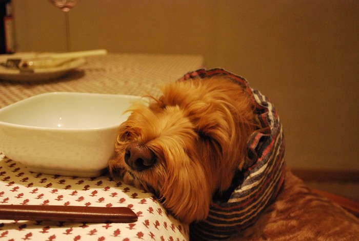 夜ごはんを食べてウトウト・・眠い時間です