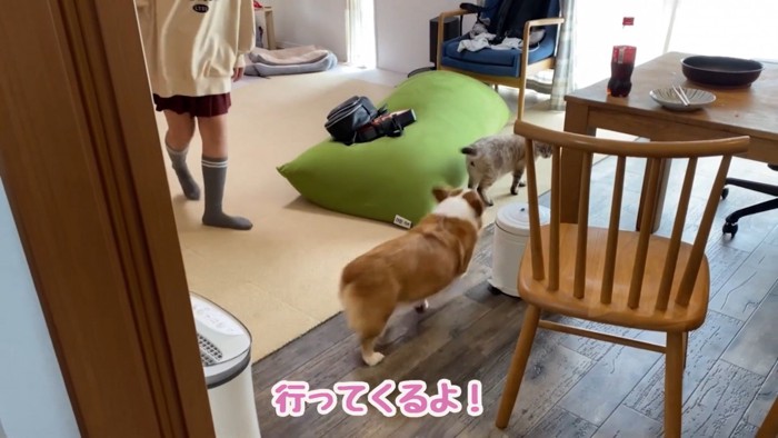 お見送りする気なし?