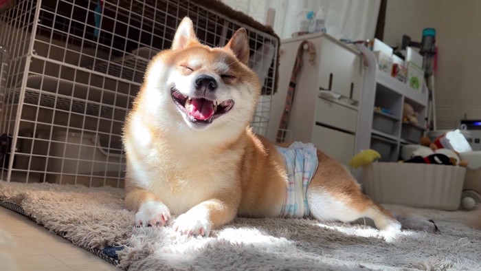 ニッコリ満足のうにくん