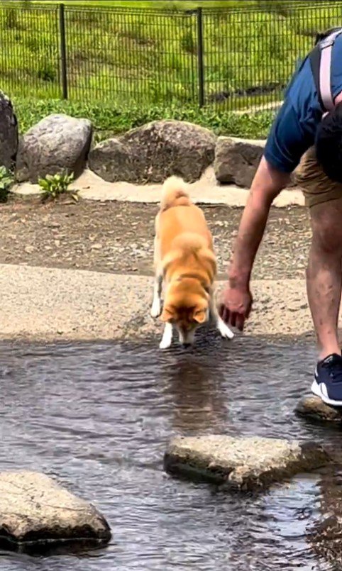 水に入ってしまったまりちゃん8