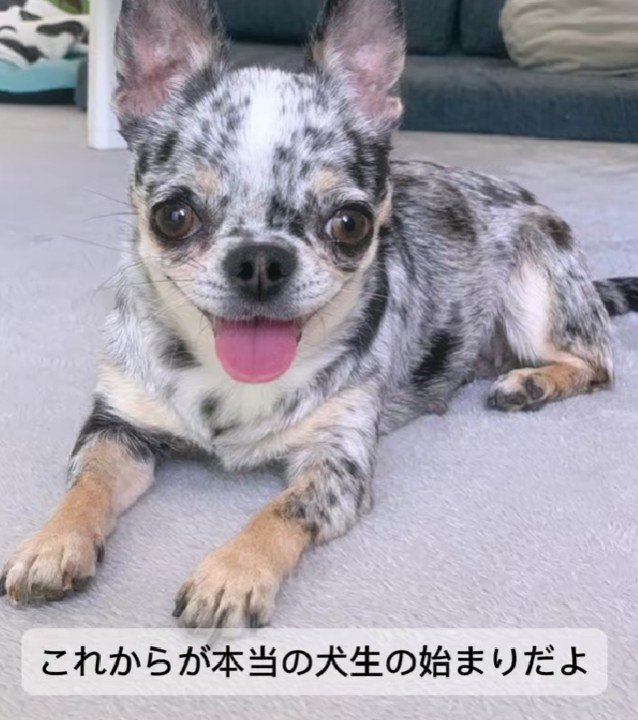 こんなにいい表情に！！