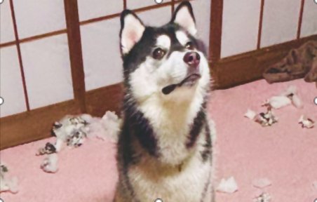 まさかの