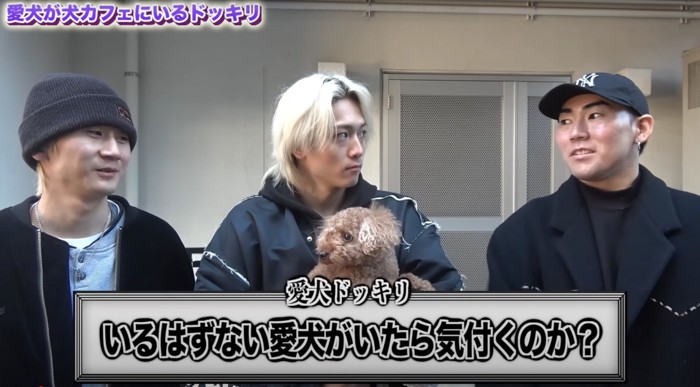 メンバーと犬
