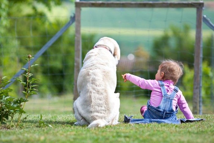 座っている犬を触ろうとする子供