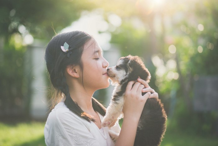 子犬とキスをする女の子