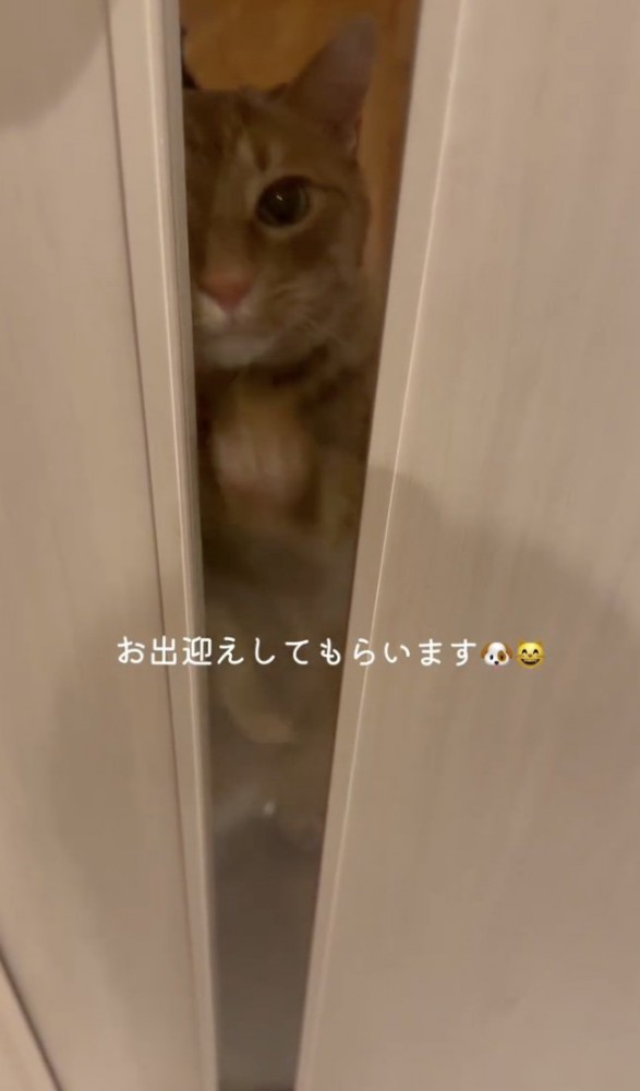 ずっと仲良くしようね