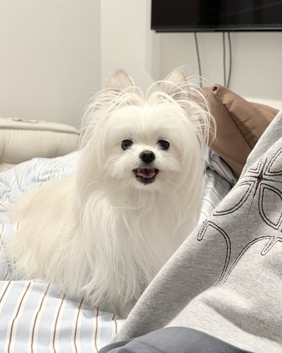 笑顔