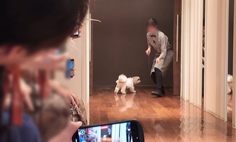 リングドッグに挑戦するつぶちゃん4