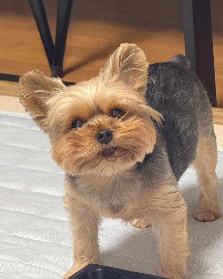 ご飯を食べているときも…♡