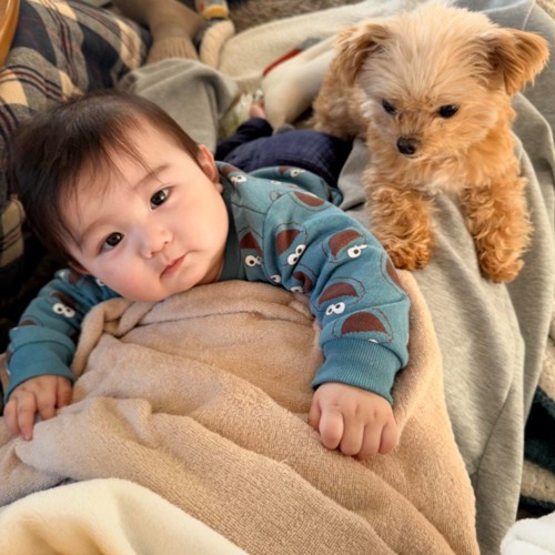 ワンコもそばに