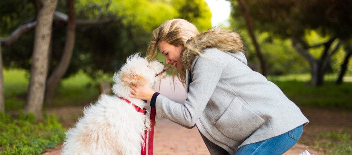 おでこをつける人と犬