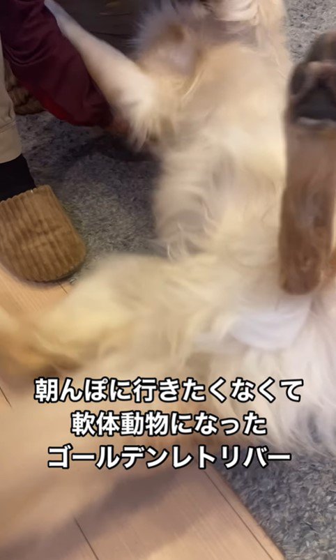 軟体動物化するナラちゃん7