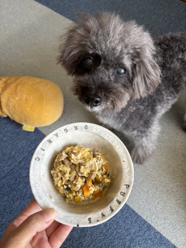 エマちゃんとご飯