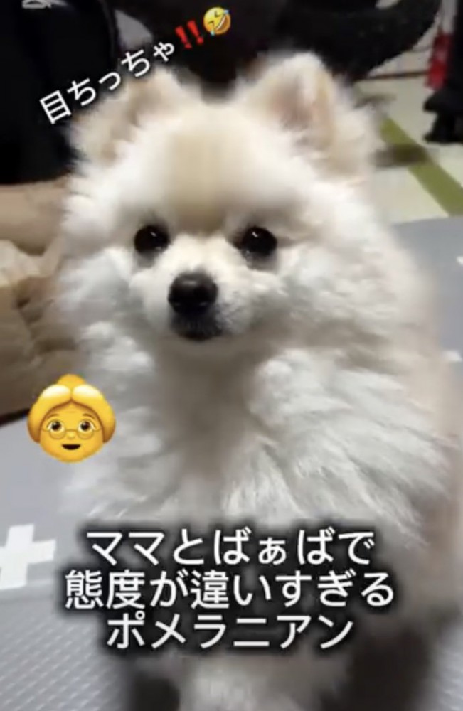 スマイルは何処へ