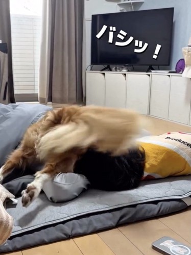 尻尾を顔面に叩きつけます