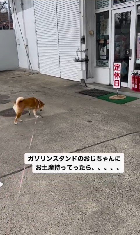 ガソリンスタンドを訪れたハナちゃん4