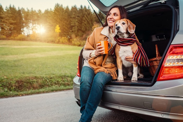 車のトランクに座る女性と犬