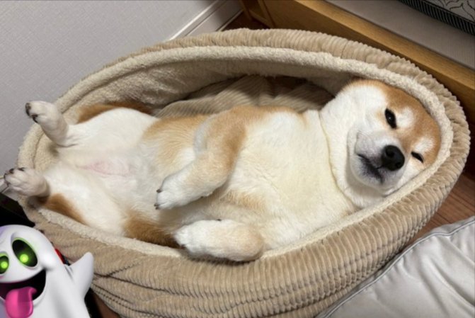 無防備