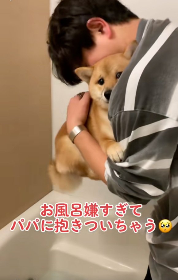 パパにしがみつくまろ君