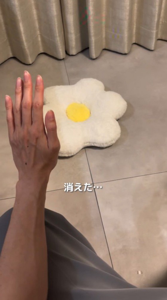 飼い主の前から姿を消す子犬