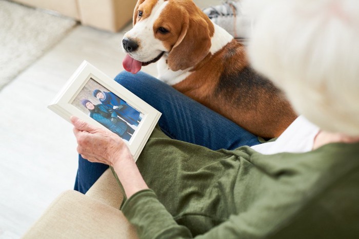 写真を見つめる老人と犬