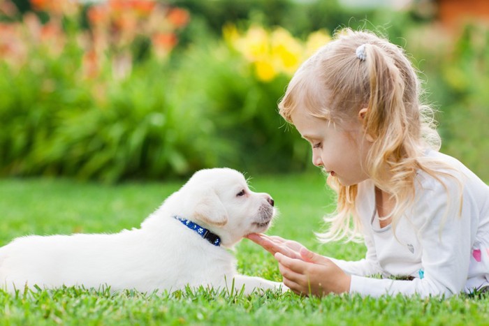 子犬と子ども