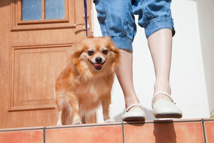 散歩、玄関を出る