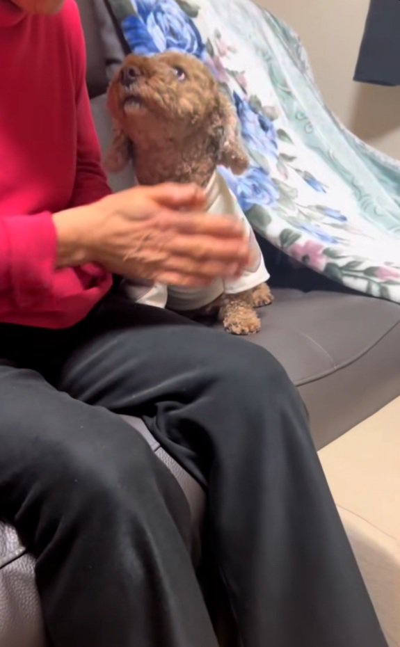 おばあちゃんを見る茶々丸くん