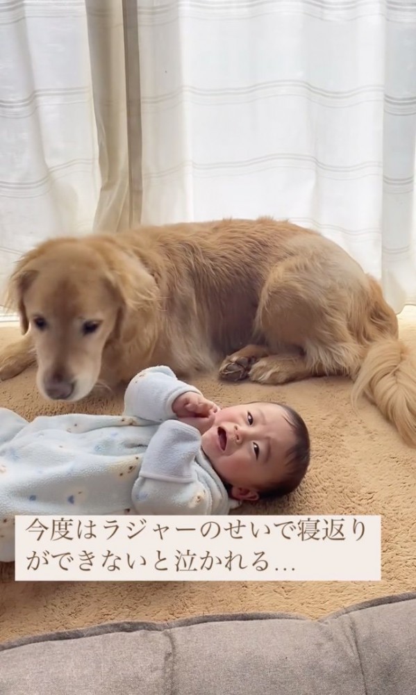 どうしよう