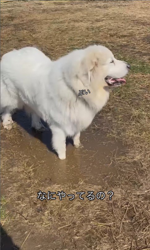 オフ会でのダンボくんたちの様子4