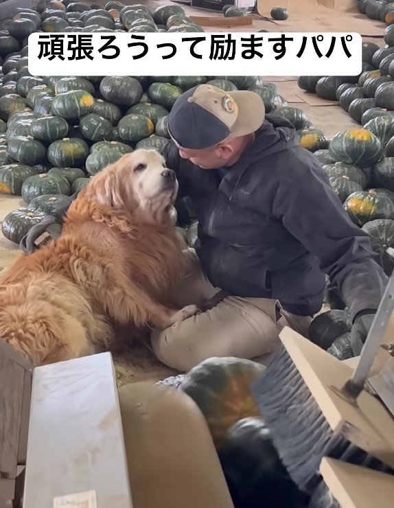 「もう頑張れない…」