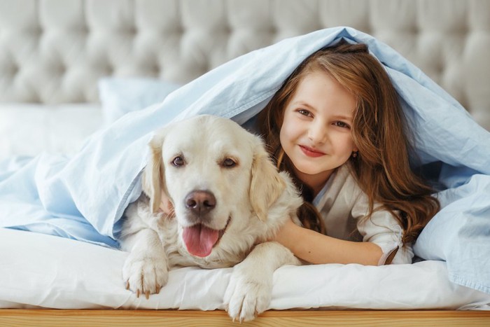 ベッドで一緒にくつろぐ犬と女の子