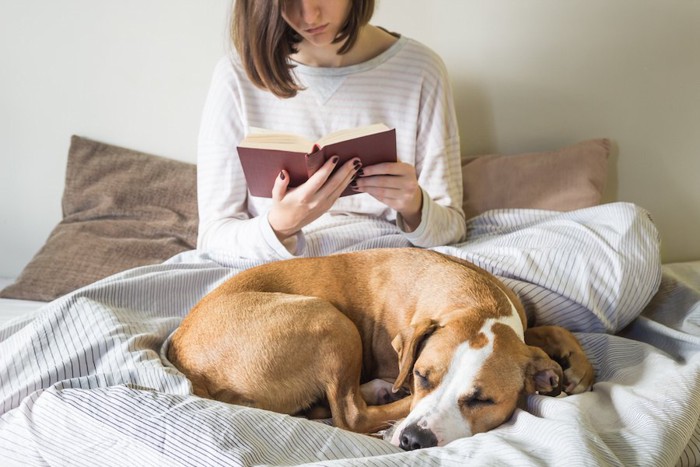 本を読む飼い主のそばで眠っている犬