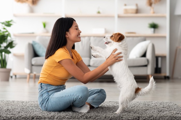 抱っこされる犬
