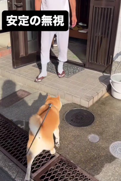 「ただいま～！！」