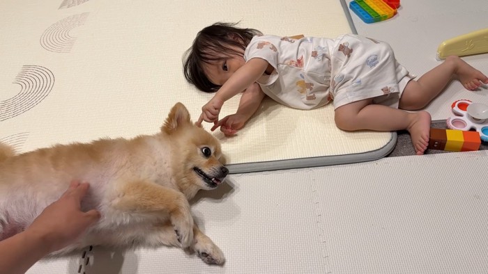 「ツンツンしないでよ~」
