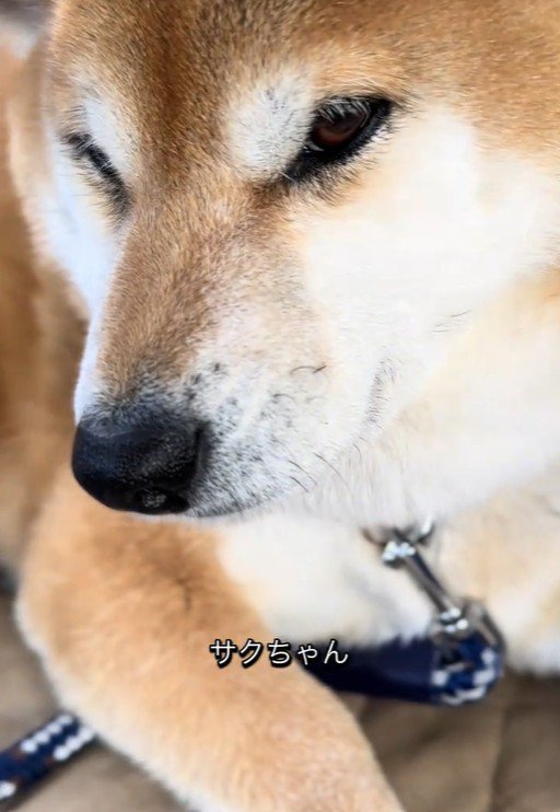 ご不満顔のまま