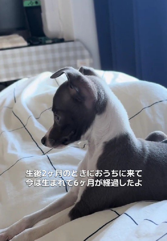 スクスク成長！！