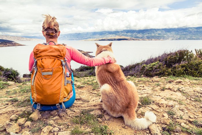 景色を眺めている女性と犬の後ろ姿