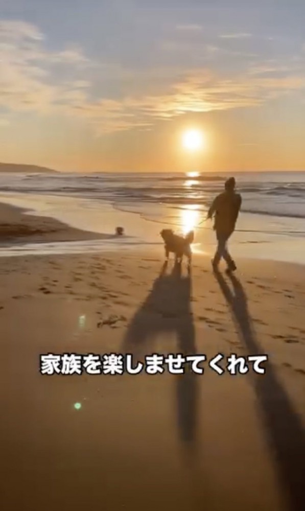 お散歩したり