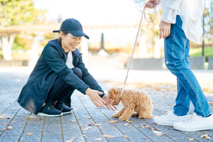 人と人の間に入る犬