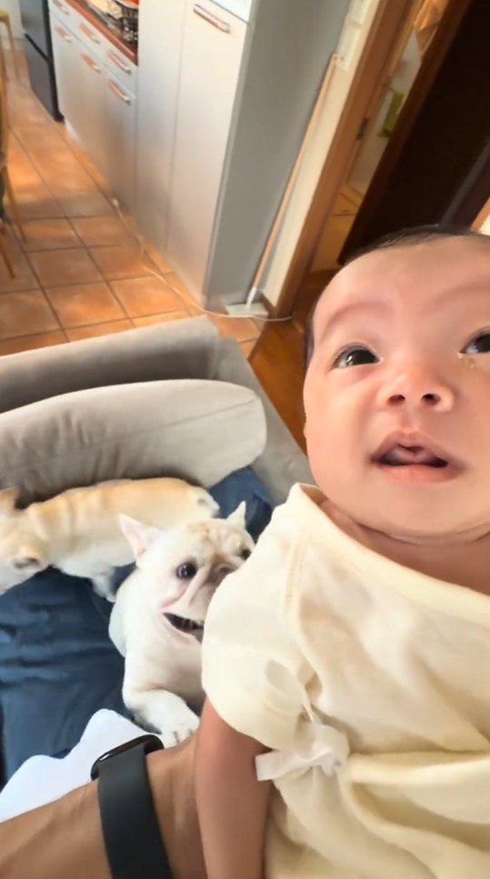 白い犬の後ろを通り過ぎるもう1頭の白い犬