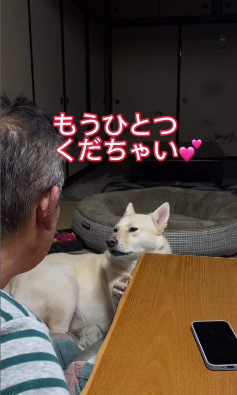 可愛いお顔でおねだり♡