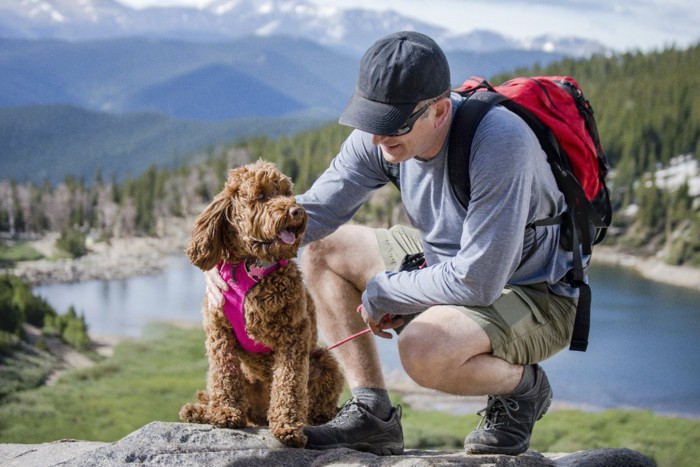 パンティングする犬をなだめる男性