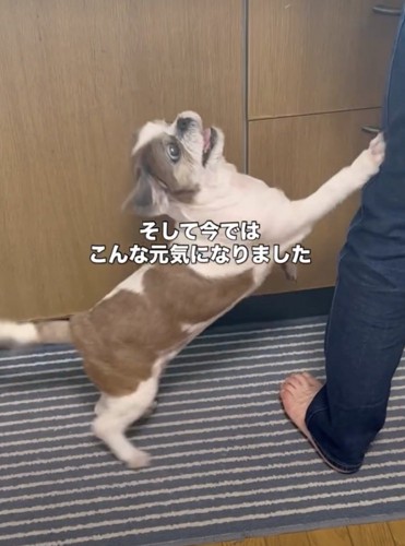 笑顔が戻ってきました