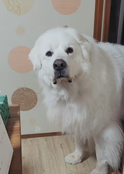 「え…お休み…？」