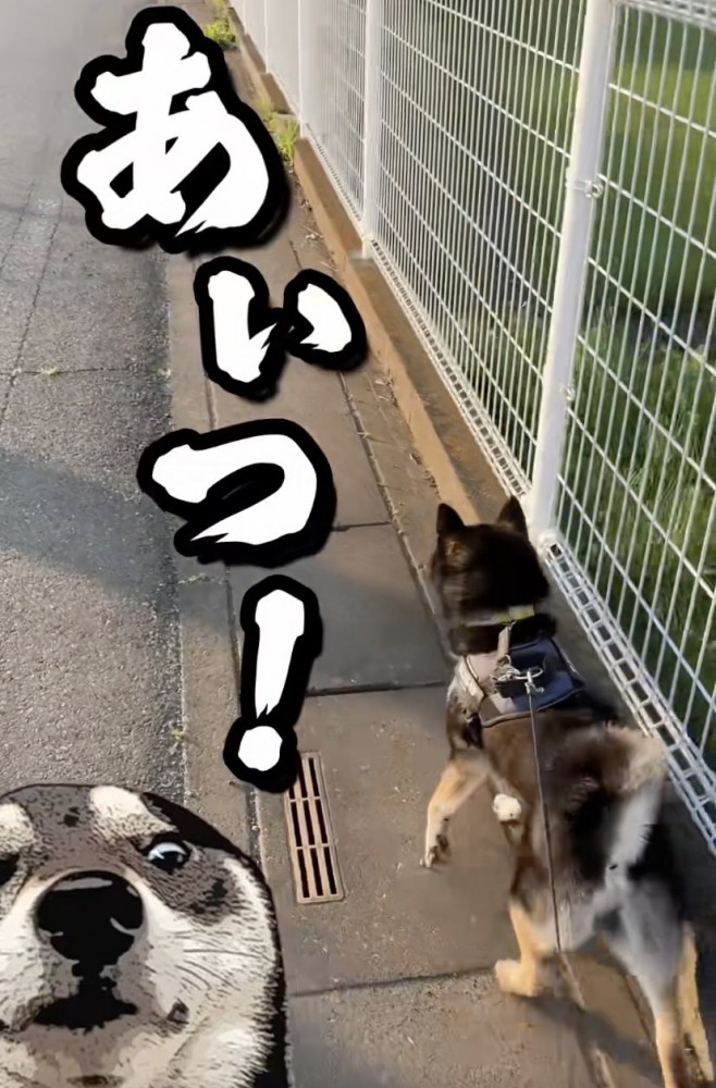 「逃げたな!!」